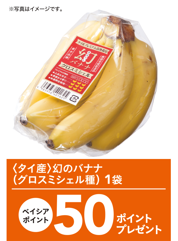 〈タイ産〉幻のバナナ（グロスミシェル種） 1袋