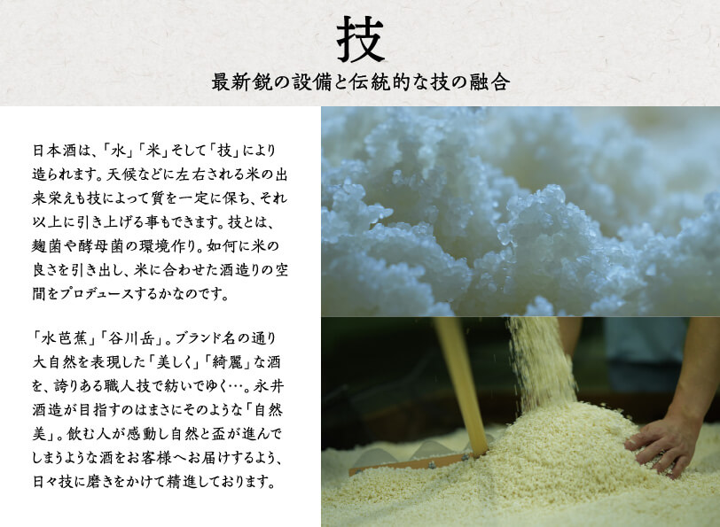 技 最新鋭の設備と伝統的な技の融合 日本酒は、「水」「米」そして「技」により造られます。天候などに左右される米の出来栄えも技によって質を一定に保ち、それ以上に引き上げる事もできます。技とは、麹菌や酵母菌の環境作り。如何に米の良さを引き出し、米に合わせた酒造りの空間をプロデュースするかなのです。「水芭蕉」「谷川岳」。ブランド名の通り大自然を表現した「美しく」「綺麗」な酒を、誇りある職人技で紡いでゆく…。永井酒造が目指すのはまさにそのような「自然美」。飲む人が感動し自然と盃が進んでしまうような酒をお客様へお届けするよう、日々技に磨きをかけて精進しております。