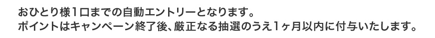 おひとり様1口までの自動エントリーとなります。ポイントはキャンペーン終了後、厳正なる抽選のうえ1ヶ月以内に付与いたします。