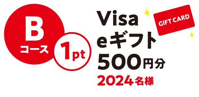 Bコース 1ポイント Visa eギフト500円分 2024名様