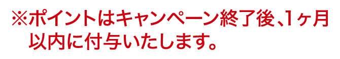 ポイントはキャンペーン終了後、1ヶ月以内に付与いたします。